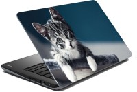 meSleep Cat 70-528 Vinyl Laptop Decal 15.6   Laptop Accessories  (meSleep)