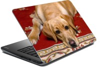 meSleep Dog LS-57-074 Vinyl Laptop Decal 15.6   Laptop Accessories  (meSleep)