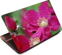 View Finest Flower FL53 Vinyl Laptop Decal 15.6 Laptop Accessories Price Online(Finest)