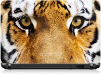 Box 18 Tiger Face 1051659 Vinyl Laptop Decal 15.6   Laptop Accessories  (Box 18)