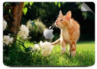 Swagsutra Vagrant Cat SKIN/DECAL for Apple Macbook Pro 13 Vinyl Laptop Decal 13   Laptop Accessories  (Swagsutra)