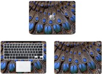 Swagsutra Peacock Feather SKIN/DECAL Vinyl Laptop Decal 13   Laptop Accessories  (Swagsutra)