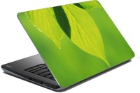 meSleep Nature LS-46-355 Vinyl Laptop Decal 15.6   Laptop Accessories  (meSleep)