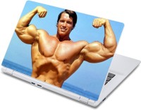 ezyPRNT The Great Young Arnold (13 to 13.9 inch) Vinyl Laptop Decal 13   Laptop Accessories  (ezyPRNT)
