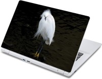ezyPRNT Pointed Beaked White Bird (13 to 13.9 inch) Vinyl Laptop Decal 13   Laptop Accessories  (ezyPRNT)