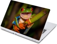ezyPRNT Kermit the frog (13 to 13.9 inch) Vinyl Laptop Decal 13   Laptop Accessories  (ezyPRNT)
