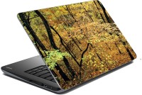 meSleep Nature 66-560 Vinyl Laptop Decal 15.6   Laptop Accessories  (meSleep)