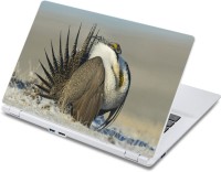 ezyPRNT The Vulture (13 to 13.9 inch) Vinyl Laptop Decal 13   Laptop Accessories  (ezyPRNT)