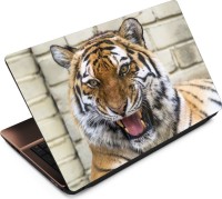 Anweshas Tiger T086 Vinyl Laptop Decal 15.6   Laptop Accessories  (Anweshas)