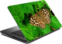 meSleep Butterfly LS-23-69 Vinyl Laptop Decal 15.6   Laptop Accessories  (meSleep)