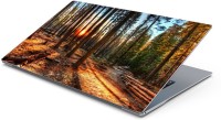 Lovely Collection Forest Vinyl Laptop Decal 15.6   Laptop Accessories  (Lovely Collection)