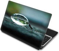 Shopmania Ant Vinyl Laptop Decal 15.6   Laptop Accessories  (Shopmania)