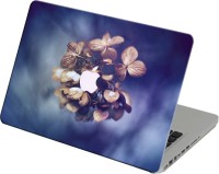 Theskinmantra Brown Leaflets Laptop Skin For Apple Macbook Air 13 Inches Vinyl Laptop Decal 13   Laptop Accessories  (Theskinmantra)