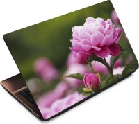 Finest Flower FL49 Vinyl Laptop Decal 15.6   Laptop Accessories  (Finest)