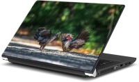 ezyPRNT The Cock Family (15 to 15.6 inch) Vinyl Laptop Decal 15   Laptop Accessories  (ezyPRNT)