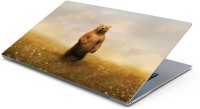 Lovely Collection Giant Bear Vinyl Laptop Decal 15.6   Laptop Accessories  (Lovely Collection)
