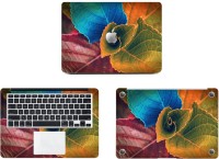 Swagsutra Coloured Leaves Vinyl Laptop Decal 11   Laptop Accessories  (Swagsutra)