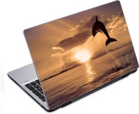 ezyPRNT Playing Dolphin (14 to 14.9 inch) Vinyl Laptop Decal 14   Laptop Accessories  (ezyPRNT)