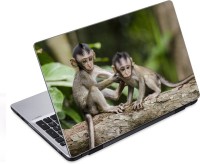 ezyPRNT The Monkey Couple (14 to 14.9 inch) Vinyl Laptop Decal 14   Laptop Accessories  (ezyPRNT)