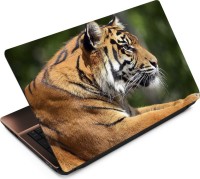 View Anweshas Tiger T031 Vinyl Laptop Decal 15.6 Laptop Accessories Price Online(Anweshas)