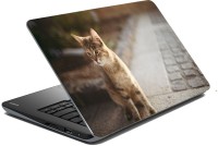 meSleep Cat 70-650 Vinyl Laptop Decal 15.6   Laptop Accessories  (meSleep)