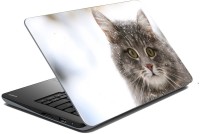 meSleep Cat 70-587 Vinyl Laptop Decal 15.6   Laptop Accessories  (meSleep)