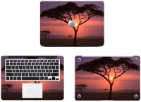 Swagsutra Sunset Vinyl Laptop Decal 11   Laptop Accessories  (Swagsutra)