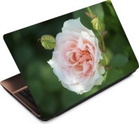 Finest Flower FL60 Vinyl Laptop Decal 15.6   Laptop Accessories  (Finest)