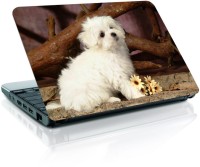 Shopmania dog Vinyl Laptop Decal 15.6   Laptop Accessories  (Shopmania)