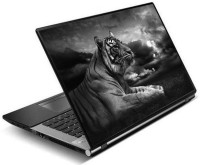 SPECTRA lion Vinyl Laptop Decal 15.6   Laptop Accessories  (SPECTRA)