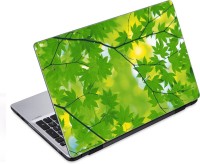 ezyPRNT Green Leaves Tree (14 to 14.9 inch) Vinyl Laptop Decal 14   Laptop Accessories  (ezyPRNT)