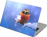 Theskinmantra Little Owl Vinyl Laptop Decal 13   Laptop Accessories  (Theskinmantra)