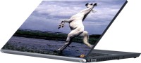 Dspbazar DSP BAZAR 8355 Vinyl Laptop Decal 15.6   Laptop Accessories  (DSPBAZAR)