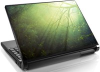 Theskinmantra Rays Prlaptop Vinyl Laptop Decal 15.6   Laptop Accessories  (Theskinmantra)