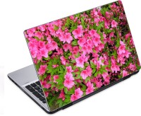 ezyPRNT Dense Azalea Pink Flower 2 (14 to 14.9 inch) Vinyl Laptop Decal 14   Laptop Accessories  (ezyPRNT)