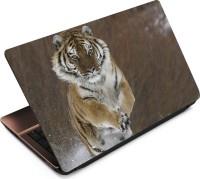 Anweshas Tiger T084 Vinyl Laptop Decal 15.6   Laptop Accessories  (Anweshas)