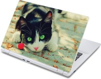 ezyPRNT Shhh! Cat is Stairing Pet Animal (13 to 13.9 inch) Vinyl Laptop Decal 13   Laptop Accessories  (ezyPRNT)