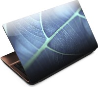 Anweshas Leaf Closeup Vinyl Laptop Decal 15.6   Laptop Accessories  (Anweshas)