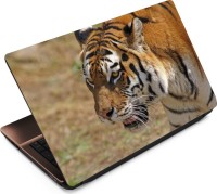 Anweshas Tiger T087 Vinyl Laptop Decal 15.6   Laptop Accessories  (Anweshas)