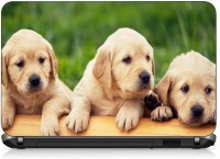 VI Collections BEAUTY DOGS pvc Laptop Decal 15.6   Laptop Accessories  (VI Collections)