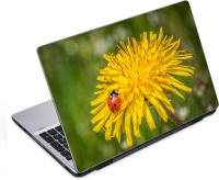 ezyPRNT Ladybird on Yellow Flower Nature (14 to 14.9 inch) Vinyl Laptop Decal 14   Laptop Accessories  (ezyPRNT)
