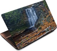 Finest Autumn ATM022 Vinyl Laptop Decal 15.6   Laptop Accessories  (Finest)