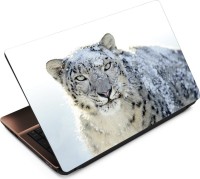 Anweshas Leopard LP082 Vinyl Laptop Decal 15.6   Laptop Accessories  (Anweshas)