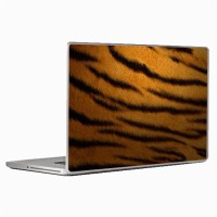 Theskinmantra Lions Den Laptop Decal 13.3   Laptop Accessories  (Theskinmantra)