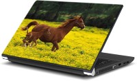 ezyPRNT Horse In Field (14 to 14.9 inch) Vinyl Laptop Decal 14   Laptop Accessories  (ezyPRNT)