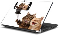 View Dadlace Funny Cat Selfie Vinyl Laptop Decal 13.3 Laptop Accessories Price Online(Dadlace)
