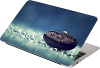 Anweshas Drop Stone Vinyl Laptop Decal 15.6   Laptop Accessories  (Anweshas)