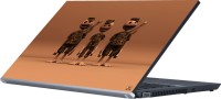 Dspbazar DSP BAZAR 9021 Vinyl Laptop Decal 15.6   Laptop Accessories  (DSPBAZAR)