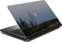 meSleep Nature LS-50-158 Vinyl Laptop Decal 15.6   Laptop Accessories  (meSleep)