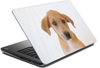 meSleep Dog 62-120 Vinyl Laptop Decal 15.6   Laptop Accessories  (meSleep)
